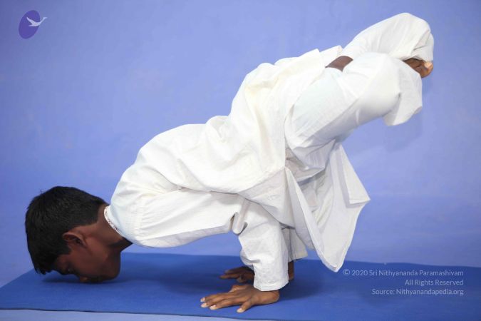 20111112 Photo 1186 1dz-J23TdJ1Djq6tvWvC1aLsL4NttnN09.JPG