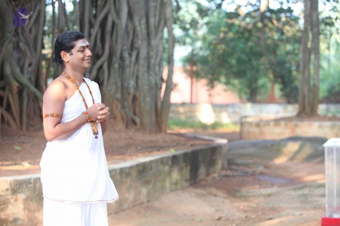 20111114 Photo 1010 1dqgDYTUn5cvGfZxdS5aGbihRETQrHk3o.JPG