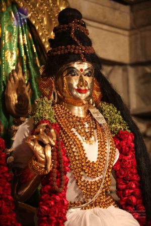 20111115 Photo 1031 1K9y5yCrJqI0tUlnzRfcCU419Sp8F5ZUf.JPG