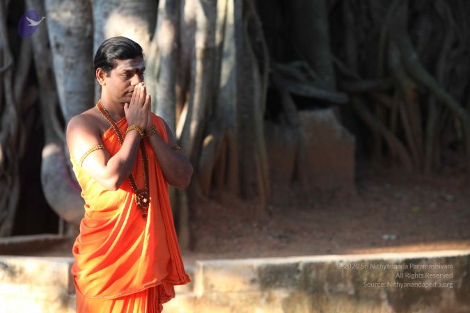 20111116 Photo 1022 1fkqeETISP5atztnyjVaiupG1zzv0L Pi.JPG