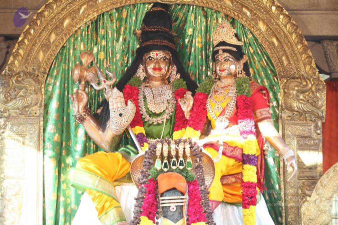 20111117 Photo 1027 11eY-nwoXBtOIC4PUOkrdLRTDdSFoZqvy.JPG