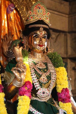 20111118 Photo 1007 1oKIWmor9VAgU7S87MlySl0bQUWx0IDgH.JPG