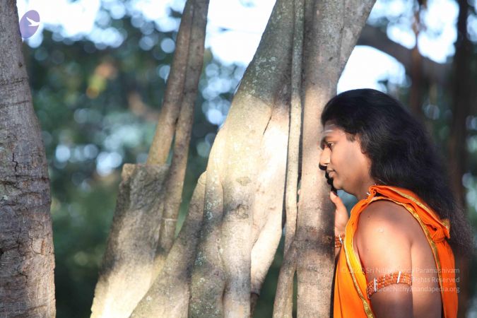 20111118 Photo 1020 1Ir4ZJ SxyBn64e7rWp2gJuSpYfEo3uwp.JPG