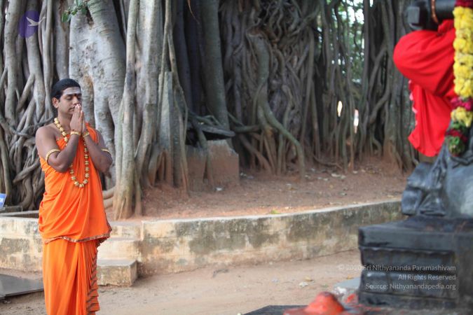 20111121 Photo 1001 1YuJFN5dltmf4SMUMMKv6l2re2aCmSUjv.JPG