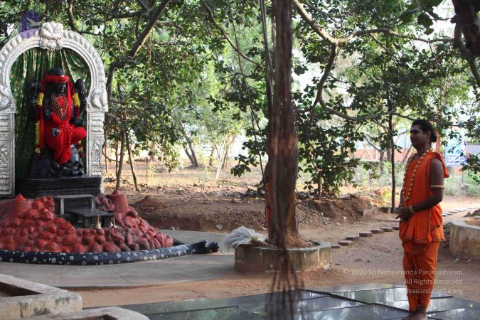 20111121 Photo 1009 1X cS4tWqriVtRGScYMqMj3kyDc0rowVG.JPG