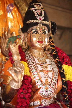 20111121 Photo 1023 1GpVOycD2tqeiDoK9vPZwypEX5Bn-Su5o.JPG