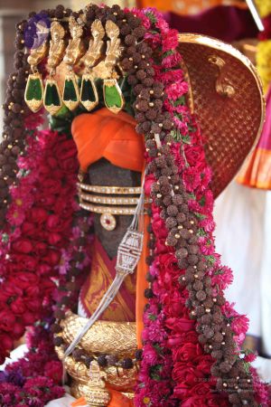 20111121 Photo 1035 16X7lx7hLNAZdGaw4YEZgpUQSPwFX96 4.JPG