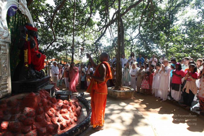 20111121 Photo 1307 15ONprS-b3puHMdZ41abjqMUvsD5NYj0S.JPG