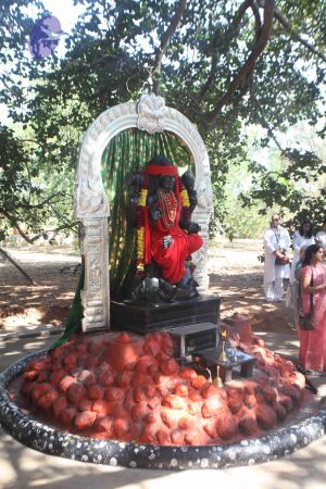 20111121 Photo 1323 1E9LRYg8n6ELO6BDNVnZ wYW 2LdSStBN.JPG