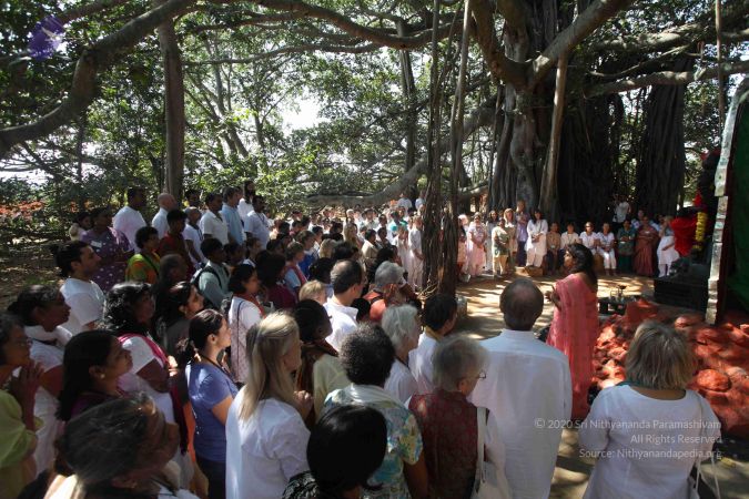 20111121 Photo 1327 1ZQsH14bnpCCJl1MT3JKKpFYRMHFRHti7.JPG