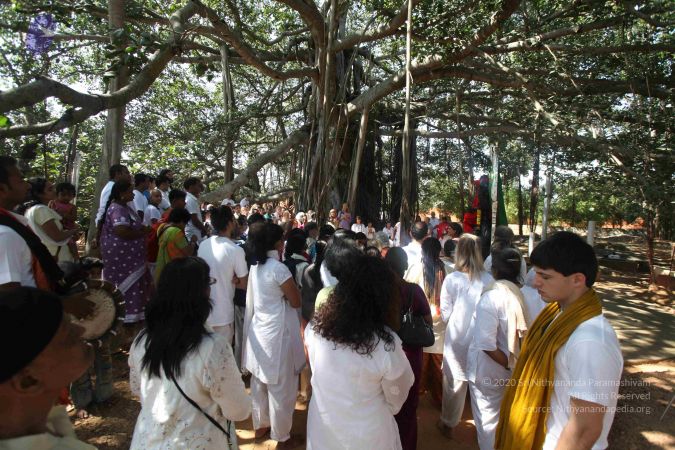 20111121 Photo 1329 1S9AeS3xM7Sv88KrNR2cksb8qNC5JLY5q.JPG