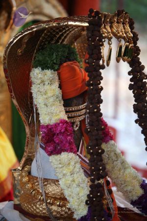 20111125 Photo 1052 1Y6Ny7lhoTPMziryJjanHRvKAQ73ey25S.JPG