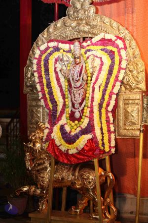 20111126 Photo 1451 1MMcI1y2pVxIQMpAj1iTwGhaiY8zBSkmD.JPG