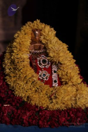 20111127 Photo 1023 1FjWyx1gVEBDYlU 5zdDBeol5WCeqgC7R.JPG