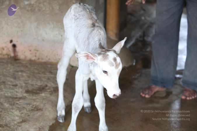 20111127 Photo 1500 19CxDTwdxtLb vFlJ1mCX9AFsoMnT8yPi.JPG