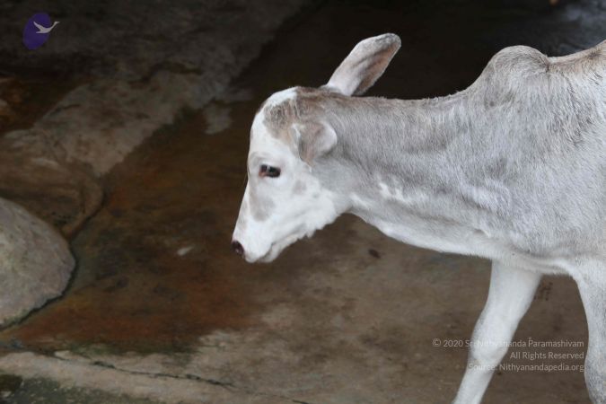 20111127 Photo 1502 1eaNfTyCiDNVApPUPb3KjX01TwlnWQIny.JPG