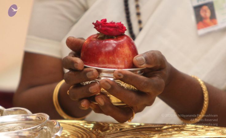 20111128 Photo 1780 1CnNBc-uZgU4Q8on00yB6FLGs6hvpqrKR.JPG