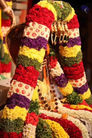 20111129 Photo 1044 1ZgZX8Pf7nv4wwtDEHceZgJQeCNakcl0n.JPG