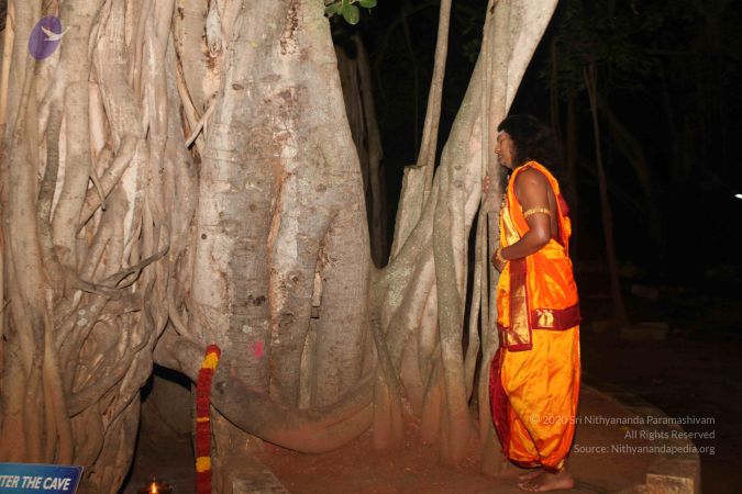 20111129 Photo 1088 1-tQXkbFHaOZqZuE-OSs4GmN4ruJG3jM5.JPG