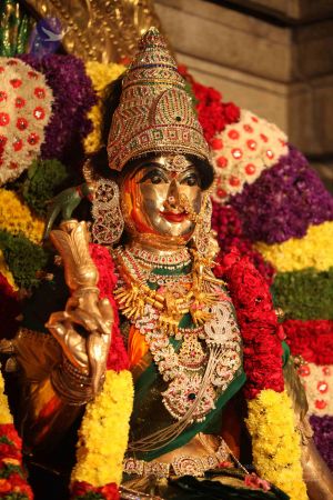 20111129 Photo 1190 1azARoeZcMdt1gAMWgvqxTxAp-pS1xOfa.JPG