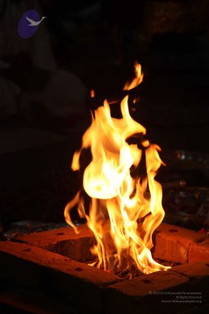 20111129 Photo 1646 18C ihadeDNUBetWUU50pcaWDyj9Q13Ru.JPG