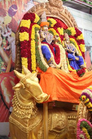 20111130 Photo 1345 1Fgj3AF4hDi62oTC7vsx7t cnPCs-aXQr.JPG