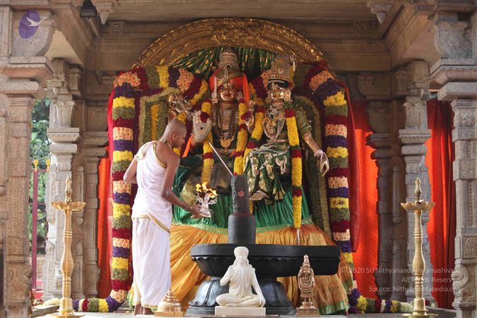 20111201 Photo 1357 1wnb--ikd5XEsvcJIHTrnSEkWYkRJdOu5.JPG