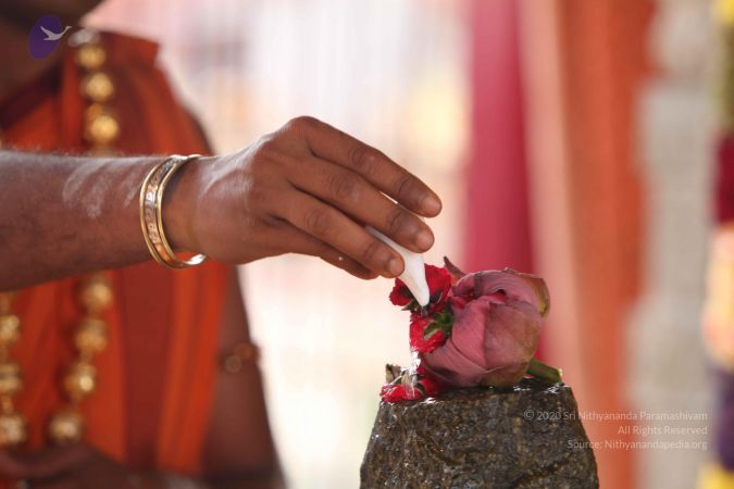 20111201 Photo 1435 1luJAVZquE4AkvXPnlxi43sXlSUTekNqo.JPG