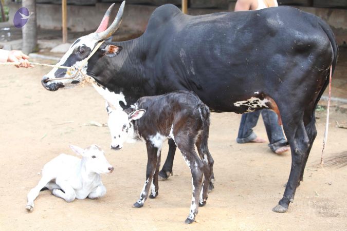 20111201 Photo 1444 1f9RlxQvaszFBErAD3rx4htQtFPmjm 9V.JPG