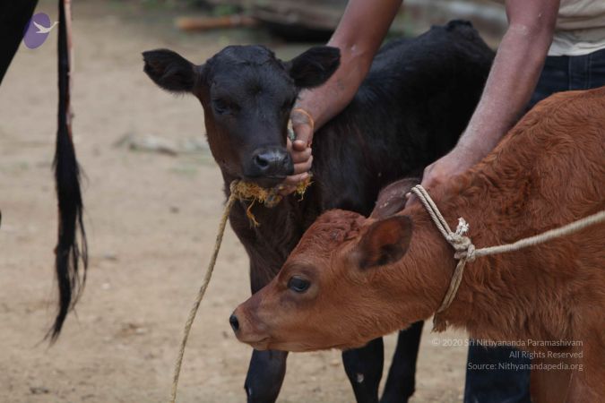 20111201 Photo 1458 1nMzncvSwGBeSdsXiKQ56SuabbdG0jtj9.JPG