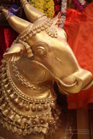 20111201 Photo 1559 13SK9rMOfHkk3KgTnlvcm4BMlS9vKNYfh.JPG