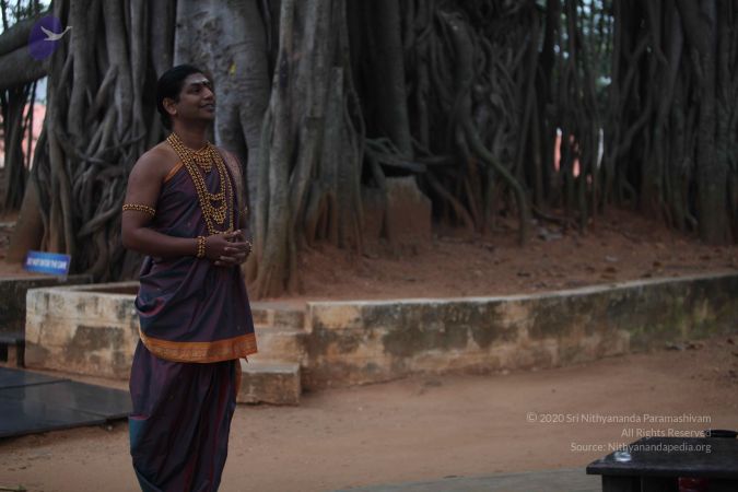 20111203 Photo 1018 1dyIV2RLpm-jhx6H-IGxCRMs0I3SyBukR.JPG