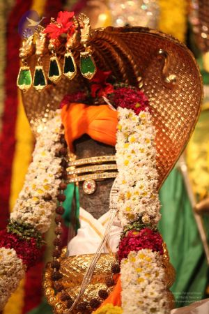 20111204 Photo 1031 1d6vGEyzxHbut5XOrInJE8W-VJQbrAebT.JPG