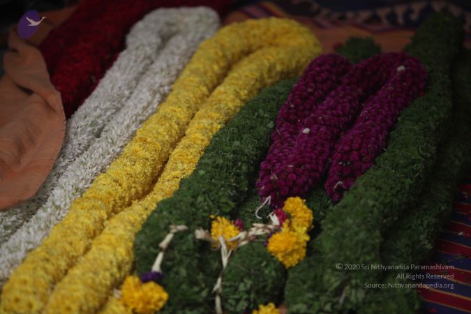 20111205 Photo 1051 1cTVPJE8W V8Wm14g4KXzZw1TYDpjSUj6.JPG