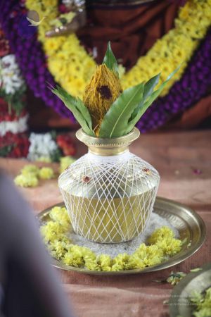 20111209 Photo 1152 1OV69lYyTL9LKgNTPN3PxnZwULzwQX6vF.JPG