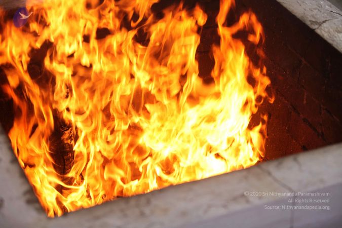 20111212 Photo 1278 14q06Bhr-7JhAVZ0J9j5uNlXox81OAzN .JPG