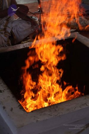 20111212 Photo 1282 1YOR-BVVxmVoF1wg7YZtK6f6ygcheFEfj.JPG