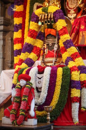 20111215 Photo 1006 1yuSP7PMMpWrpwhE6Yd JxFe8nkxzFnQR.JPG