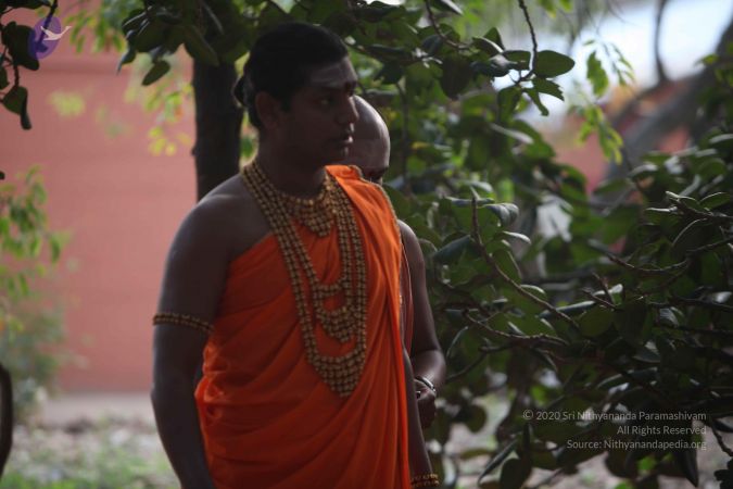 20111217 Photo 1005 1I82dvunHQpJCygcPc492CVtVsYiYCU1Q.JPG