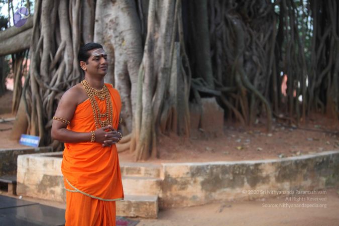 20111217 Photo 1007 1256C5ffkGubvu5mWhvqi6Z64n3vtN5CU.JPG