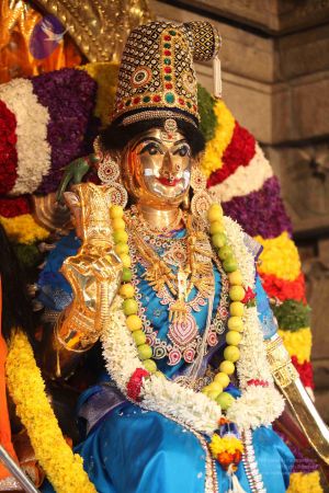 20111217 Photo 1008 1TbcfxD870Bl89ffH5IGN6l8G2Wk1cGG5.JPG