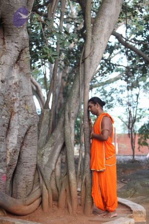 20111217 Photo 1009 13li6OEZL4IPDvcyajfajJuiwwPdPMtgS.JPG