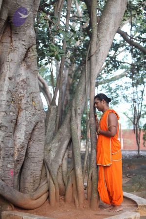 20111217 Photo 1010 1-wLPa1k5eRIxLvJh9akgQU2shLh-OZED.JPG