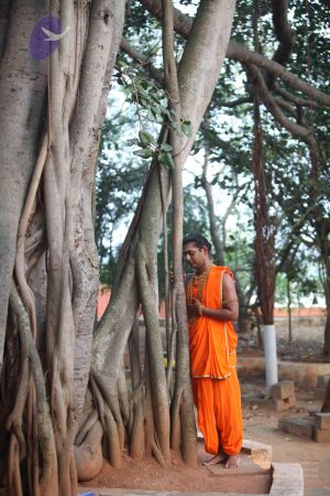 20111217 Photo 1011 1uNygie45rZuQYDJQd8PqyaJ 6kXpP9sQ.JPG