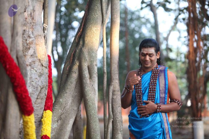 20111217 Photo 1036 1Tb-TyyosEtsrDYZ 3bF6IlKwcXAMHZuj.JPG