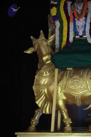 20111217 Photo 1121 1i4eWML9AefcDiXuns4wJrRAHV4G09C 0.JPG