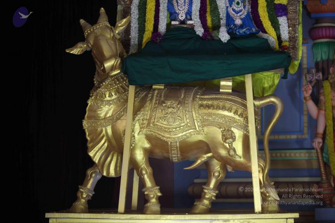 20111217 Photo 1122 1Dskgevvsn31G2cgoSf~pA-Q9bsZPhqM.JPG