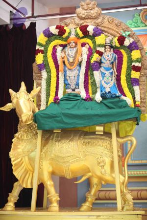 20111217 Photo 1180 1Dl17SRyAv ui-h6DeZBVtVIopQAiOeD8.JPG