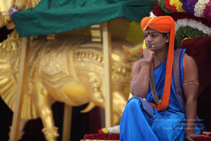 20111217 Photo 1304 1BopNdL3uJ8aloEmCCZ9IJs64mgnPstel.JPG