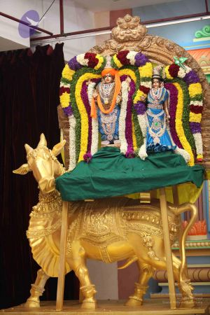 20111217 Photo 1360 1hvBk9XyKroSXQhXYv4Fd6 ykwnWa-8qS.JPG